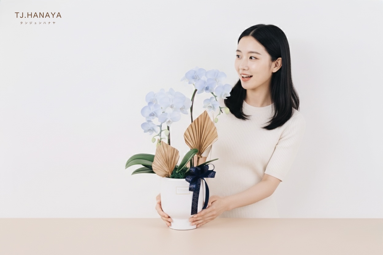 蘭花盆栽尺寸示意圖及情境圖
