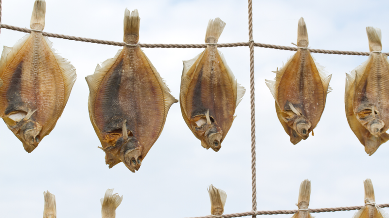 扁魚 比目魚乾 鰈魚乾