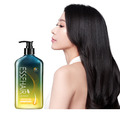 【ESSEHAIR 易生絲】薑暖胺基酸洗髮露_2 【ESSEHAIR 易生絲】薑暖胺基酸洗髮露_2