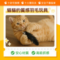 逗貓玩具替換羽毛頭10件組_2 逗貓玩具替換羽毛頭10件組_2