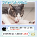 貓狗通用美容清潔弧形除毛刷/梳毛(小)_2 貓狗通用美容清潔弧形除毛刷/梳毛(小)_2