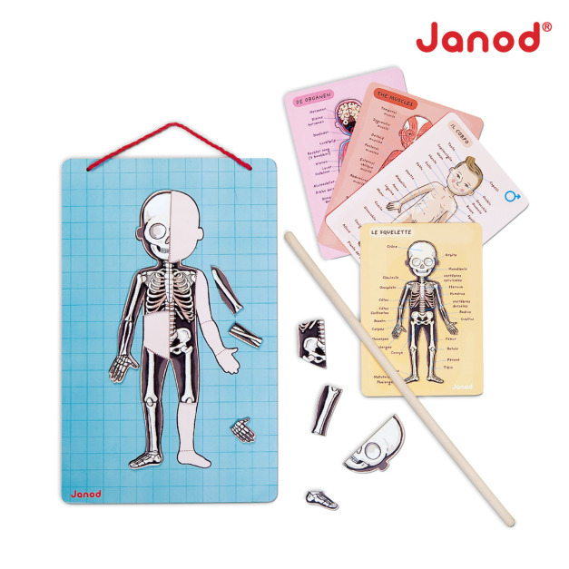 2026QQmei【法國Janod】磁鐵遊戲書-我的身體 2026QQmei【法國Janod】磁鐵遊戲書-我的身體