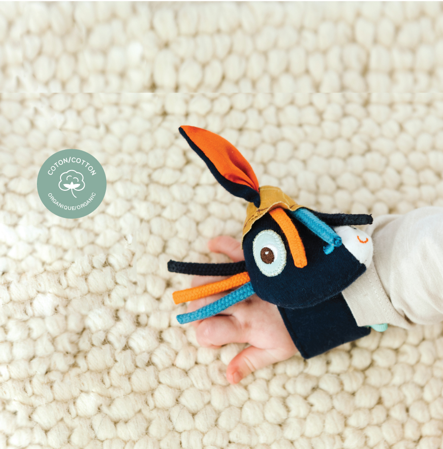 比利時lilliputiens,好