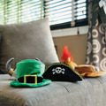【P.L.A.Y.派頭小子Mutt Hatter】5件組 寵物陪伴、抗憂鬱玩具_25 【P.L.A.Y.派頭小子Mutt Hatter】5件組 寵物陪伴、抗憂鬱玩具_25