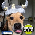 【P.L.A.Y.派頭小子Mutt Hatter】5件組 寵物陪伴、抗憂鬱玩具_15 【P.L.A.Y.派頭小子Mutt Hatter】5件組 寵物陪伴、抗憂鬱玩具_15