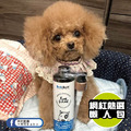 【貓狗每日營養補充】BokBok 毛小孩健康魚油 250ml_4 【貓狗每日營養補充】BokBok 毛小孩健康魚油 250ml_4
