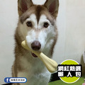 【趣啃骨史迪克】狗狗潔牙玩具(4 尺寸)迷你/小/中/大型犬適用_3 【趣啃骨史迪克】狗狗潔牙玩具(4 尺寸)迷你/小/中/大型犬適用_3