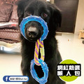 【歐卡健齒連接環】狗狗拋接互動玩具(中/大型犬)|_4 【歐卡健齒連接環】狗狗拋接互動玩具(中/大型犬)|_4