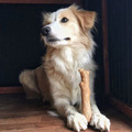 【狗狗潔牙玩具】耐咬史迪克2件組(M/中型犬)原木味+BBQ烤肉木風味_3 【狗狗潔牙玩具】耐咬史迪克2件組(M/中型犬)原木味+BBQ烤肉木風味_3