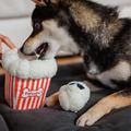 【P.L.A.Y.星光好萊塢Hollywoof Cinema】5件組 寵物陪伴、抗憂鬱玩具_5 【P.L.A.Y.星光好萊塢Hollywoof Cinema】5件組 寵物陪伴、抗憂鬱玩具_5