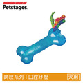 【歐卡迷你骨頭】寵物陪伴、抗憂鬱玩具(小型犬)_1 【歐卡迷你骨頭】寵物陪伴、抗憂鬱玩具(小型犬)_1