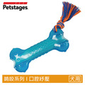 【歐卡耐咬骨頭】寵物陪伴、抗憂鬱玩具(中/大型犬)_1 【歐卡耐咬骨頭】寵物陪伴、抗憂鬱玩具(中/大型犬)_1
