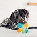 【瘋狂傑克六角椎】狗狗發聲玩具(小/中/大型犬)|Outward Hound|3 種發聲+不規則彈跳_2 【瘋狂傑克六角椎】狗狗發聲玩具(小/中/大型犬)|Outward Hound|3 種發聲+不規則彈跳_2