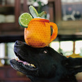 【P.L.A.Y.經典調酒師 Barktender】5件組 寵物陪伴、抗憂鬱玩具_4 【P.L.A.Y.經典調酒師 Barktender】5件組 寵物陪伴、抗憂鬱玩具_4