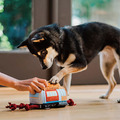 【P.L.A.Y.狗狗好行Canine Commute】5件組 寵物陪伴、抗憂鬱玩具_11 【P.L.A.Y.狗狗好行Canine Commute】5件組 寵物陪伴、抗憂鬱玩具_11
