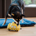 【P.L.A.Y.狗狗好行Canine Commute】5件組 寵物陪伴、抗憂鬱玩具_5 【P.L.A.Y.狗狗好行Canine Commute】5件組 寵物陪伴、抗憂鬱玩具_5