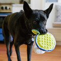 【P.L.A.Y.經典調酒師 Barktender】5件組 寵物陪伴、抗憂鬱玩具_15 【P.L.A.Y.經典調酒師 Barktender】5件組 寵物陪伴、抗憂鬱玩具_15