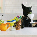 【P.L.A.Y.經典調酒師 Barktender】5件組 寵物陪伴、抗憂鬱玩具_10 【P.L.A.Y.經典調酒師 Barktender】5件組 寵物陪伴、抗憂鬱玩具_10