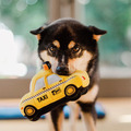 【P.L.A.Y.狗狗好行Canine Commute】5件組 寵物陪伴、抗憂鬱玩具_4 【P.L.A.Y.狗狗好行Canine Commute】5件組 寵物陪伴、抗憂鬱玩具_4