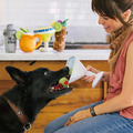 【P.L.A.Y.經典調酒師 Barktender】5件組 寵物陪伴、抗憂鬱玩具_9 【P.L.A.Y.經典調酒師 Barktender】5件組 寵物陪伴、抗憂鬱玩具_9
