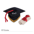 【P.L.A.Y.開學季Back to School】5件組 寵物陪伴、抗憂鬱玩具_12 【P.L.A.Y.開學季Back to School】5件組 寵物陪伴、抗憂鬱玩具_12