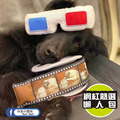 【P.L.A.Y.星光好萊塢Hollywoof Cinema】5件組 寵物陪伴、抗憂鬱玩具_13 【P.L.A.Y.星光好萊塢Hollywoof Cinema】5件組 寵物陪伴、抗憂鬱玩具_13