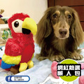 【P.L.A.Y.魅力珍禽Fetching Flock】5件組 寵物陪伴、抗憂鬱玩具_20 【P.L.A.Y.魅力珍禽Fetching Flock】5件組 寵物陪伴、抗憂鬱玩具_20