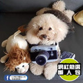 【P.L.A.Y.狂野動物園 Safari】5件組 寵物陪伴、抗憂鬱玩具_6 【P.L.A.Y.狂野動物園 Safari】5件組 寵物陪伴、抗憂鬱玩具_6