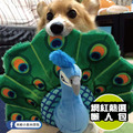 【P.L.A.Y.魅力珍禽Fetching Flock】5件組 寵物陪伴、抗憂鬱玩具_17 【P.L.A.Y.魅力珍禽Fetching Flock】5件組 寵物陪伴、抗憂鬱玩具_17