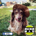 【P.L.A.Y.派頭小子Mutt Hatter】5件組 寵物陪伴、抗憂鬱玩具_6 【P.L.A.Y.派頭小子Mutt Hatter】5件組 寵物陪伴、抗憂鬱玩具_6