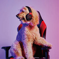 【P.L.A.Y.x HyperX】3件組 寵物陪伴、抗憂鬱玩具_6 【P.L.A.Y.x HyperX】3件組 寵物陪伴、抗憂鬱玩具_6