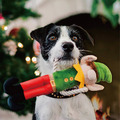 【P.L.A.Y.汪汪聖誕Merry Woofmas】5件組 寵物陪伴、抗憂鬱玩具_11 【P.L.A.Y.汪汪聖誕Merry Woofmas】5件組 寵物陪伴、抗憂鬱玩具_11