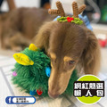 【P.L.A.Y.汪汪聖誕Merry Woofmas】5件組 寵物陪伴、抗憂鬱玩具_16 【P.L.A.Y.汪汪聖誕Merry Woofmas】5件組 寵物陪伴、抗憂鬱玩具_16