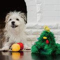 【P.L.A.Y.汪汪聖誕Merry Woofmas】5件組 寵物陪伴、抗憂鬱玩具_15 【P.L.A.Y.汪汪聖誕Merry Woofmas】5件組 寵物陪伴、抗憂鬱玩具_15