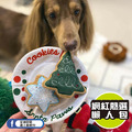 【P.L.A.Y.汪汪聖誕Merry Woofmas】5件組 寵物陪伴、抗憂鬱玩具_5 【P.L.A.Y.汪汪聖誕Merry Woofmas】5件組 寵物陪伴、抗憂鬱玩具_5