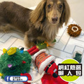 【P.L.A.Y.汪汪聖誕Merry Woofmas】5件組 寵物陪伴、抗憂鬱玩具_23 【P.L.A.Y.汪汪聖誕Merry Woofmas】5件組 寵物陪伴、抗憂鬱玩具_23