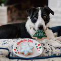 【P.L.A.Y.汪汪聖誕Merry Woofmas】5件組 寵物陪伴、抗憂鬱玩具_6 【P.L.A.Y.汪汪聖誕Merry Woofmas】5件組 寵物陪伴、抗憂鬱玩具_6
