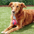全新品出清【寵物互動、拋接玩具】Planet Dog 拋接結繩球(2色)_5 全新品出清【寵物互動、拋接玩具】Planet Dog 拋接結繩球(2色)_5