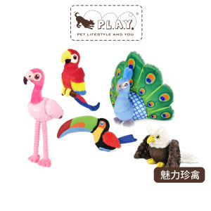【P.L.A.Y.魅力珍禽Fetching Flock】5件組 寵物陪伴、抗憂鬱玩具 【P.L.A.Y.魅力珍禽Fetching Flock】5件組 寵物陪伴、抗憂鬱玩具