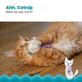 【貓草潔牙鼠-2入】Catnip Chew Mice Mlt 貓草潔牙啃咬玩具(貓咪適用)_5 【貓草潔牙鼠-2入】Catnip Chew Mice Mlt 貓草潔牙啃咬玩具(貓咪適用)_5