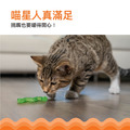 【歐卡貓草毛毛蟲】Orkakat Catnip Wiggle Worm|咀嚼、玩耍、潔牙三合一的貓咪玩具!吸引貓咪必備_3 【歐卡貓草毛毛蟲】Orkakat Catnip Wiggle Worm|咀嚼、玩耍、潔牙三合一的貓咪玩具!吸引貓咪必備_3