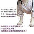 口齒清新保健粉(30包/盒)|毛健寶 MAO JIAN BAO_10 口齒清新保健粉(30包/盒)|毛健寶 MAO JIAN BAO_10