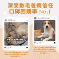 毛光煥發保健粉(30包/盒)|毛健寶 MAO JIAN BAO_13 毛光煥發保健粉(30包/盒)|毛健寶 MAO JIAN BAO_13