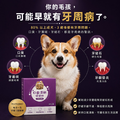 口齒清新保健粉(30包/盒)|毛健寶 MAO JIAN BAO_5 口齒清新保健粉(30包/盒)|毛健寶 MAO JIAN BAO_5