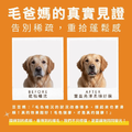 毛光煥發保健粉(30包/盒)|毛健寶 MAO JIAN BAO_11 毛光煥發保健粉(30包/盒)|毛健寶 MAO JIAN BAO_11