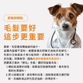 毛光煥發保健粉(30包/盒)|毛健寶 MAO JIAN BAO_10 毛光煥發保健粉(30包/盒)|毛健寶 MAO JIAN BAO_10