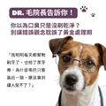 口齒清新保健粉(30包/盒)|毛健寶 MAO JIAN BAO_4 口齒清新保健粉(30包/盒)|毛健寶 MAO JIAN BAO_4