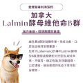 口齒清新保健粉(30包/盒)|毛健寶 MAO JIAN BAO_3 口齒清新保健粉(30包/盒)|毛健寶 MAO JIAN BAO_3