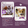 口齒清新保健粉(30包/盒)|毛健寶 MAO JIAN BAO_6 口齒清新保健粉(30包/盒)|毛健寶 MAO JIAN BAO_6