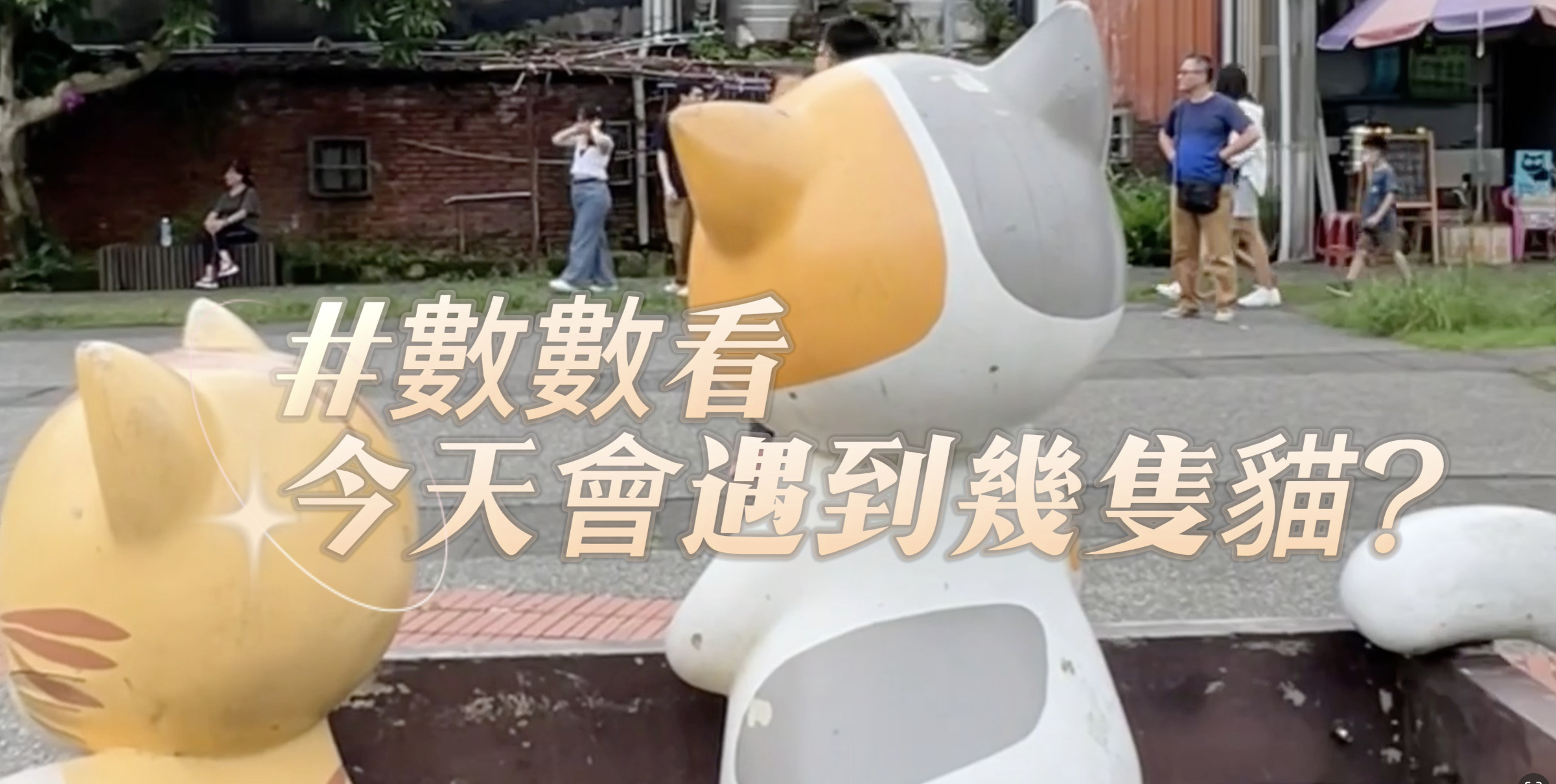 猴硐貓村 貓咪在鐵道邊